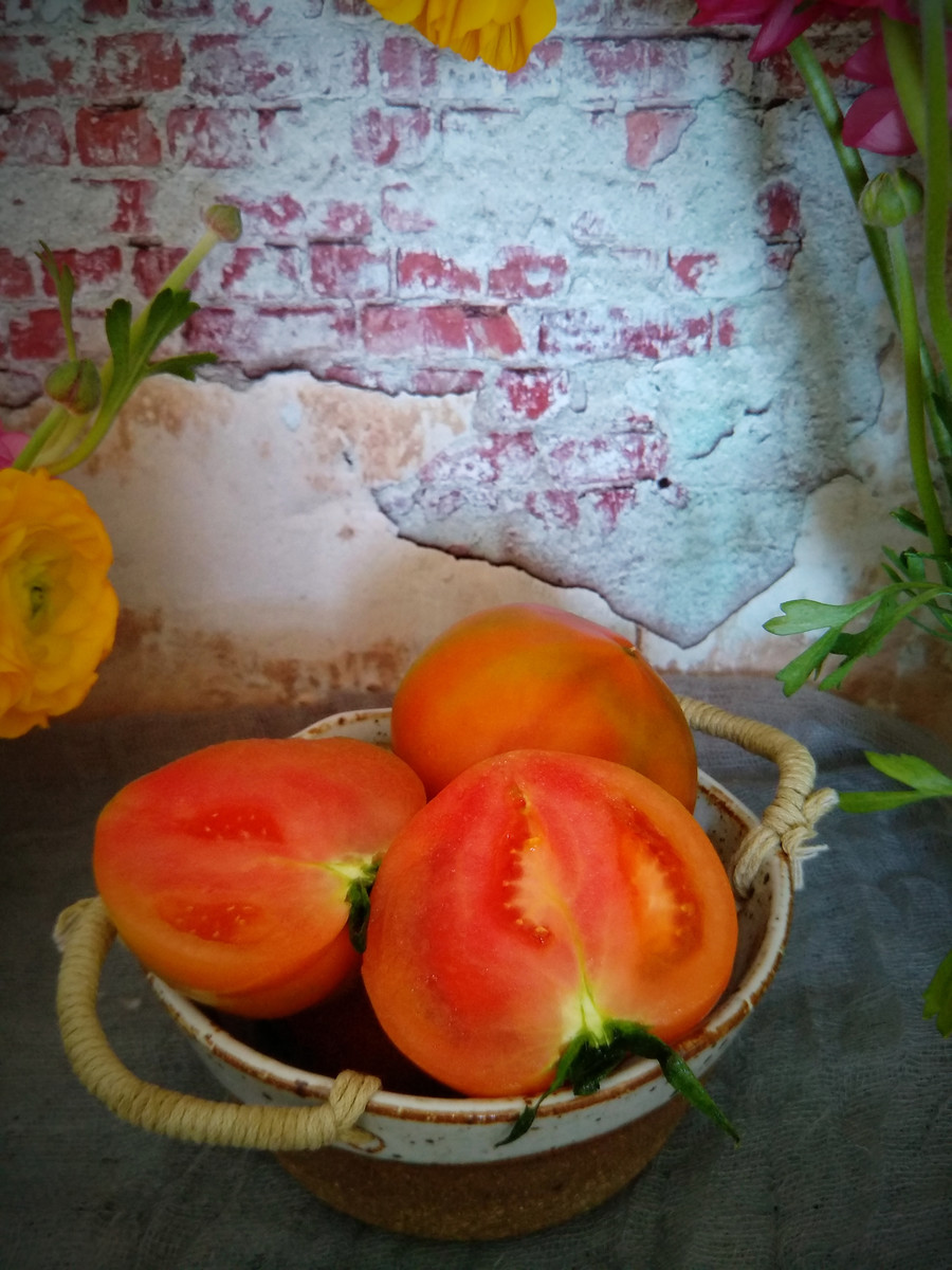 点击大图看下一张：青红西红柿艺术照图片