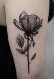 黑灰色的一组好看花朵纹身图片作品