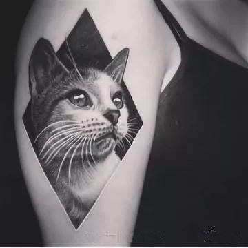 点击大图看下一张：铲屎官专属的一组9款猫纹身图案