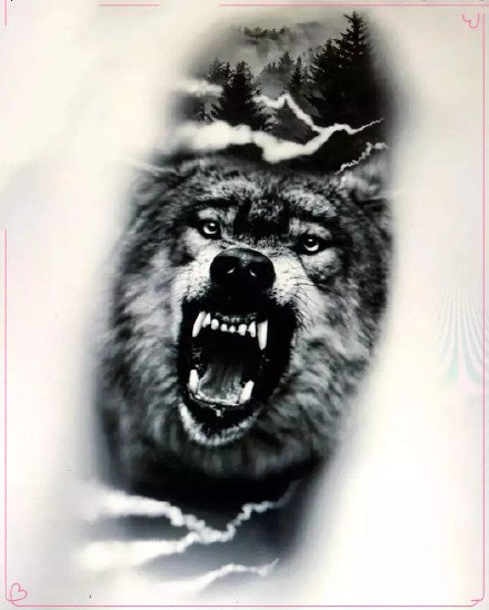 点击大图看下一张：狼头刺青 9款狼头主题的纹身手稿和作品赏析