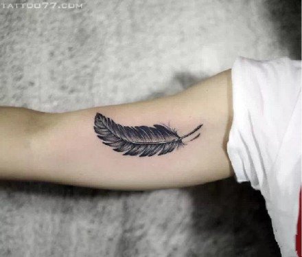 点击大图看下一张：黑灰色的9款羽毛纹身图案-武汉老兵纹身作品