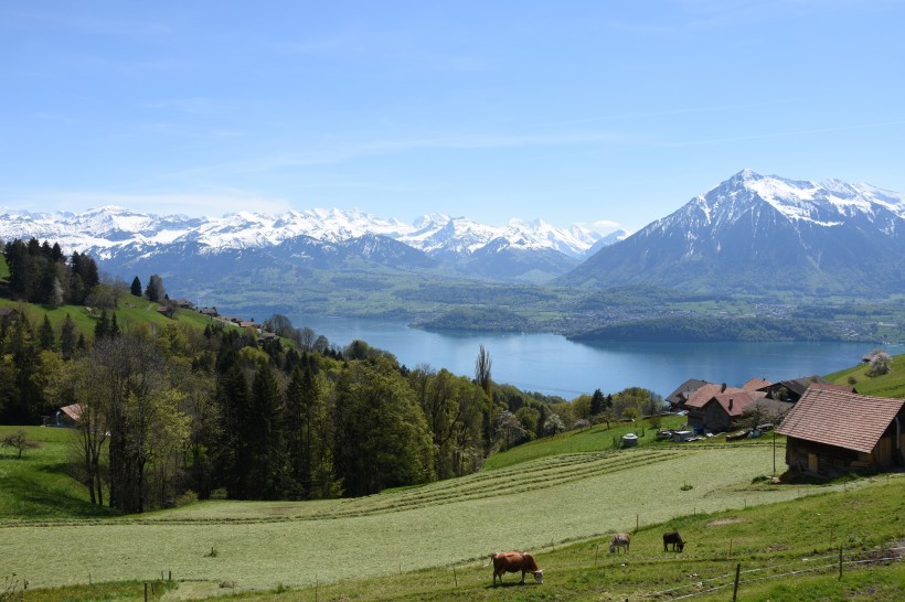 点击大图看下一张：瑞士伯尔尼自然风景图片