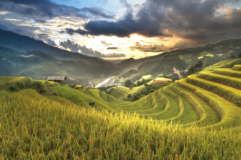 点击大图看下一张：层层叠叠的梯田风景图片