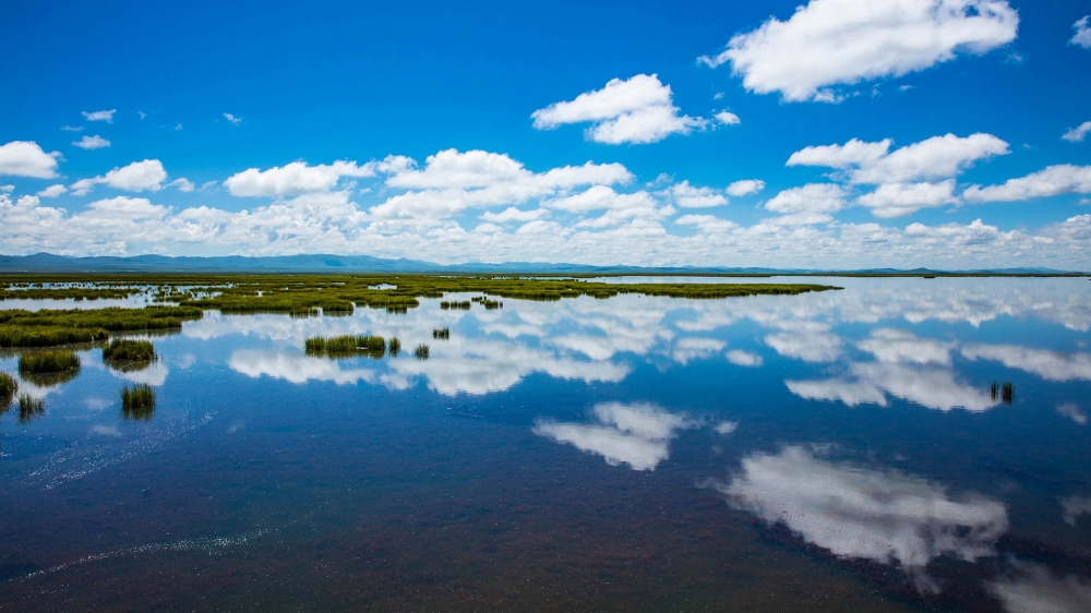点击大图看下一张：四川若尔盖花湖风景图片