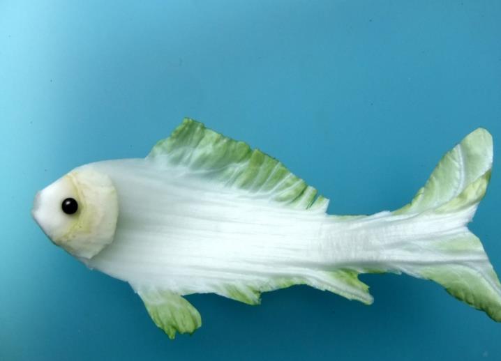 点击大图看下一张：大白菜做出的蔬菜巧妙造型图片