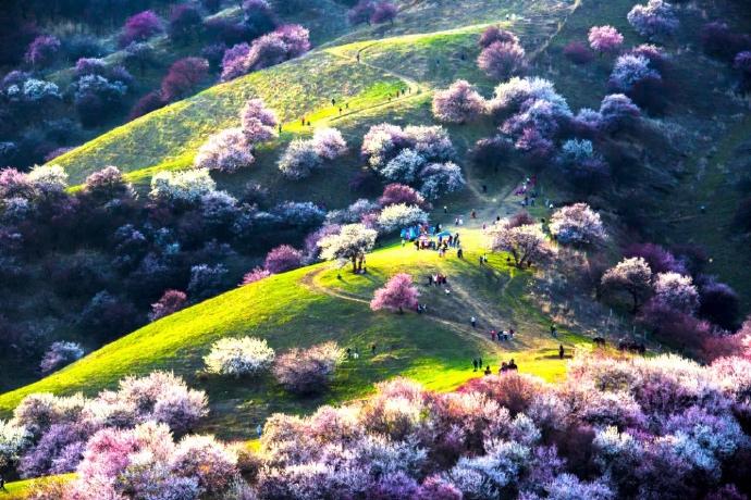 点击大图看下一张：新疆伊犁杏花沟唯美迷人风光