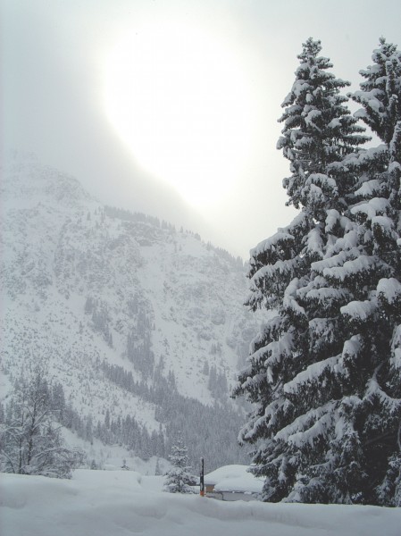 点击大图看下一张：极其美丽的冬天雪景图片