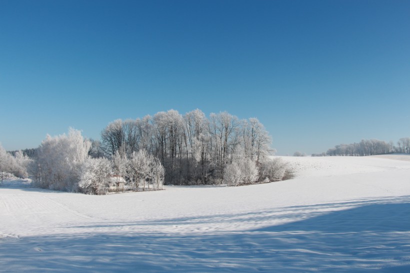 点击大图看下一张：极其美丽的冬天雪景图片