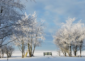 极其美丽的冬天雪景图片