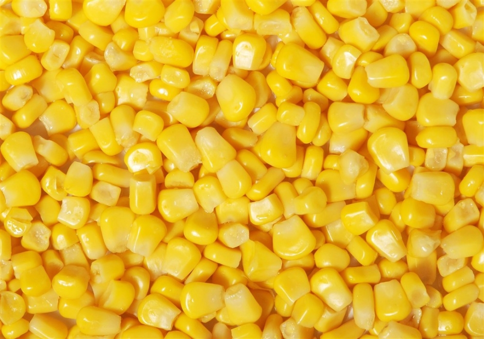 点击大图看下一张：玉米粒金黄金黄的,像一颗颗小珍珠