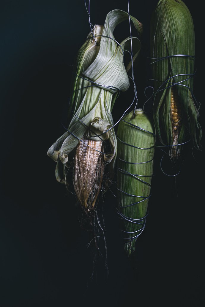 点击大图看下一张：玉米的形态美图片欣赏