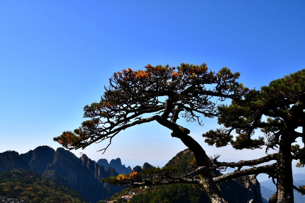 点击大图看下一张：十月的安徽黄山高清风景欣赏