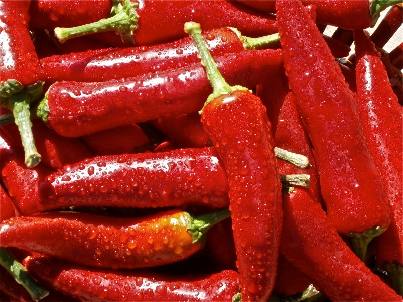 点击大图看下一张：一组火辣辣的红辣椒图片