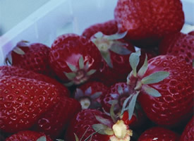 美味可口的草莓图片手机壁纸