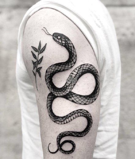 点击大图看下一张：黑蛇拼接的几款纹身作品图片