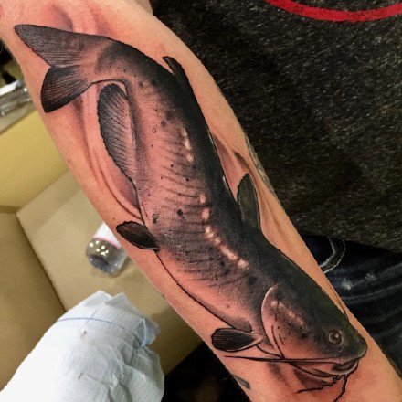 点击大图看下一张：鲶鱼纹身 遮盖神器大鲶鱼的几款纹身作品