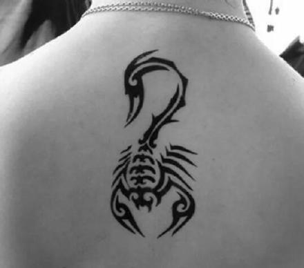 点击大图看下一张：十二星座--天蝎座Scorpio的一组蝎子纹身图案