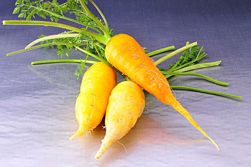 点击大图看下一张：一组营养丰富的黄萝卜图片