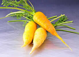 一组营养丰富的黄萝卜图片