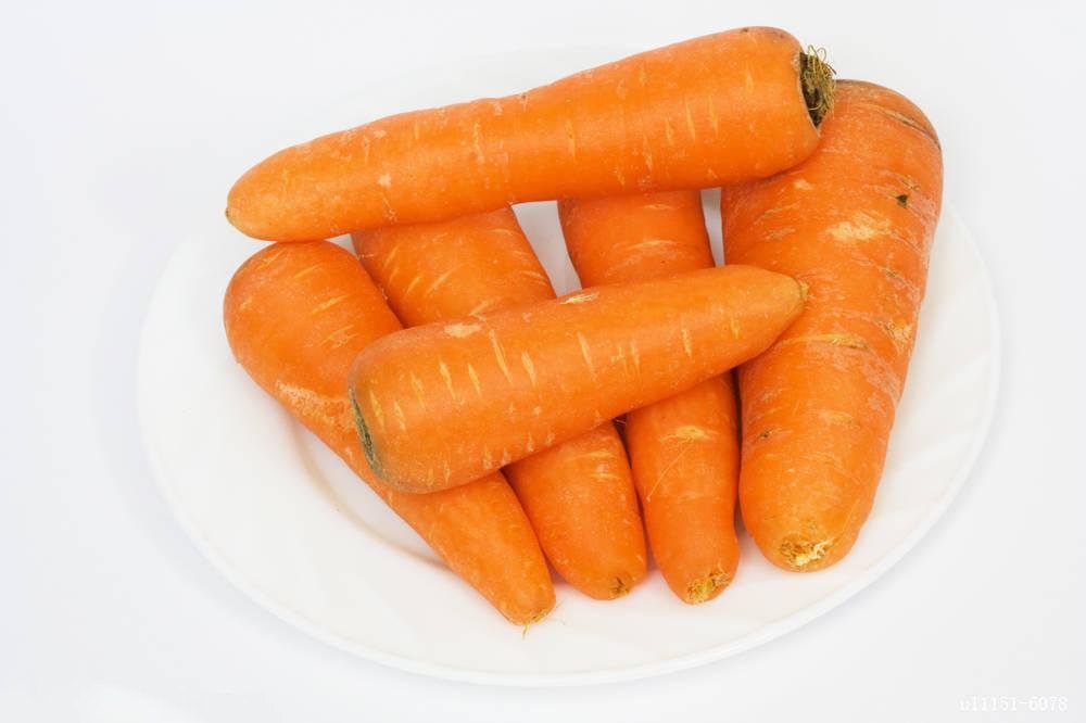 点击大图看下一张：一组营养好吃的胡萝卜图片