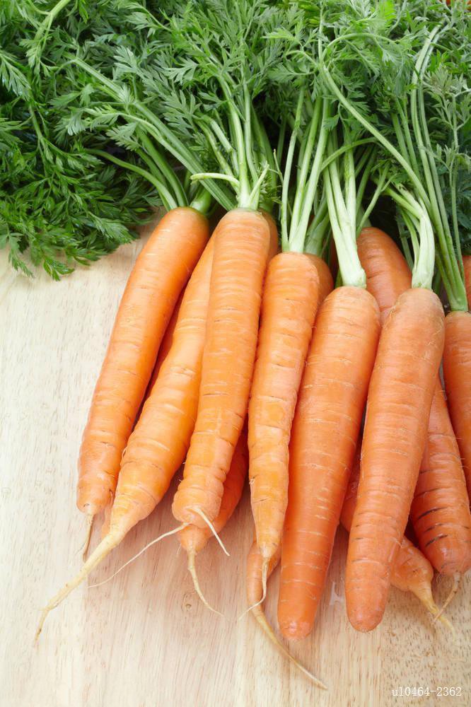 点击大图看下一张：一组营养好吃的胡萝卜图片