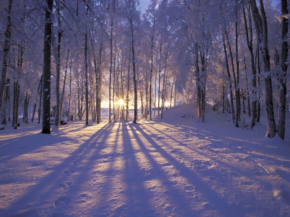 点击大图看下一张：洁白漂亮的雪景图片