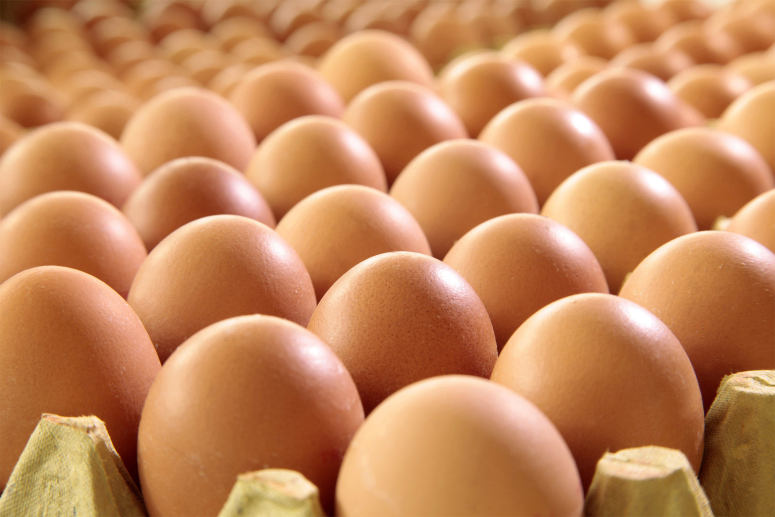 点击大图看下一张：一组鸡蛋高清图片