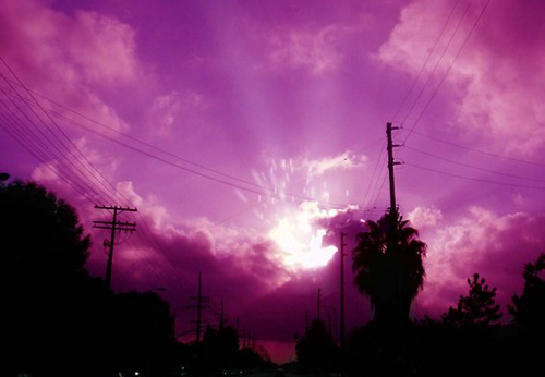 点击大图看下一张：浪漫紫色意境图片