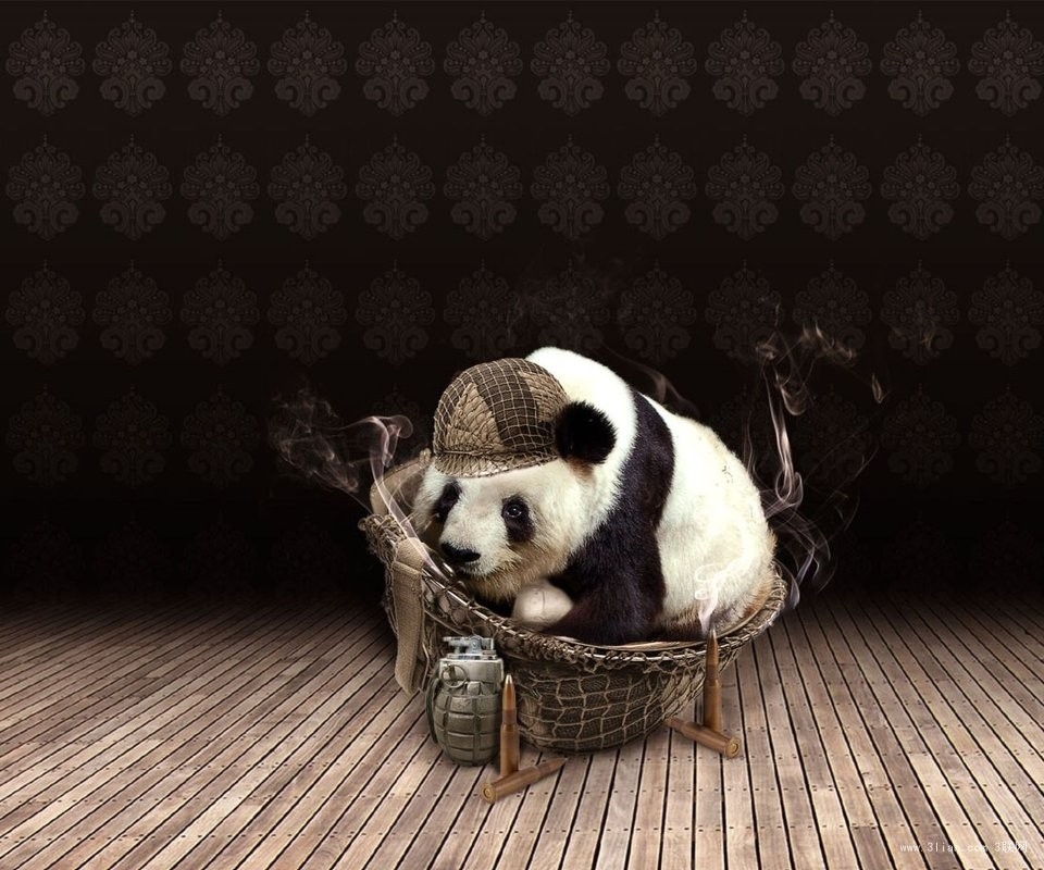 点击大图看下一张：一组憨态可掬的熊猫图片
