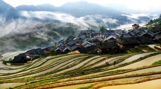 点击大图看下一张：贵州加榜梯田图片