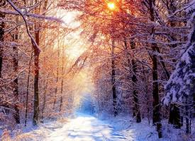 唯美的冬季风景图片桌面壁纸
