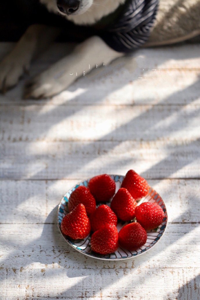 点击大图看下一张：暖阳下的草莓图片欣赏
