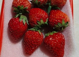 新鲜果蔬草莓高清手机壁纸