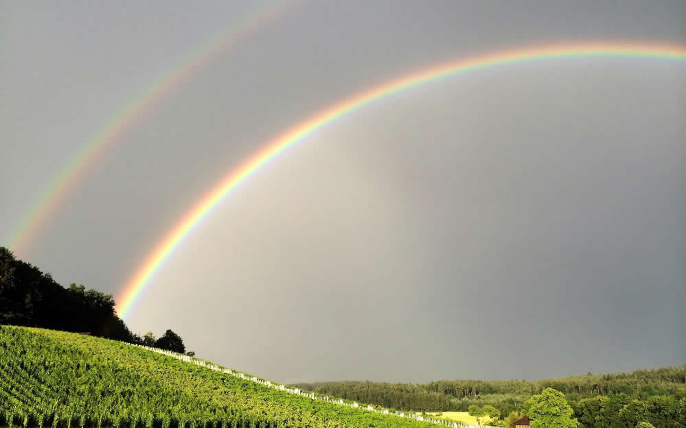 点击大图看下一张：雨后的彩虹风景图片