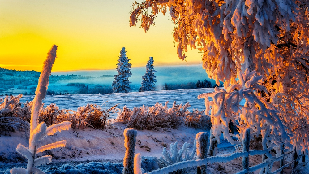 点击大图看下一张：唯美冬季意境雪景壁纸