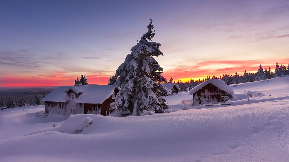 点击大图看下一张：唯美冬季意境雪景壁纸