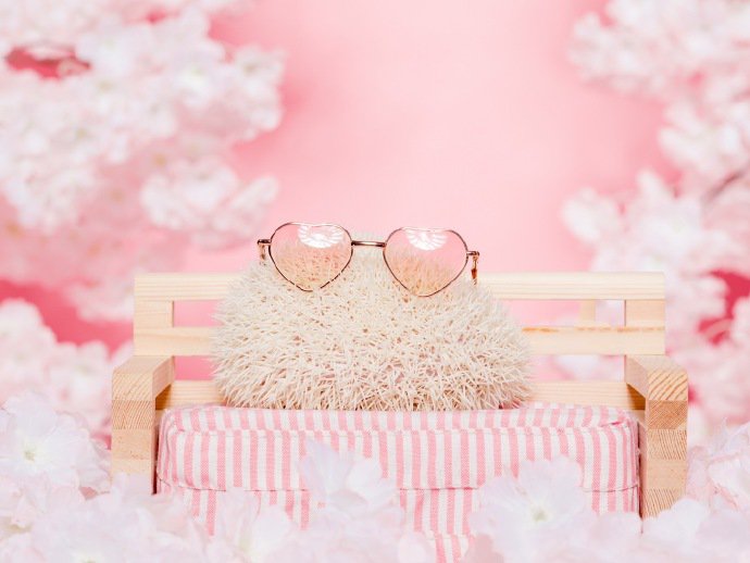 点击大图看下一张：一组粉粉的超可爱的刺猬图片