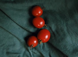 一组暗色系拍摄的番茄图片