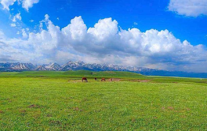 点击大图看下一张：新疆那拉提草原，有一种孤独的美