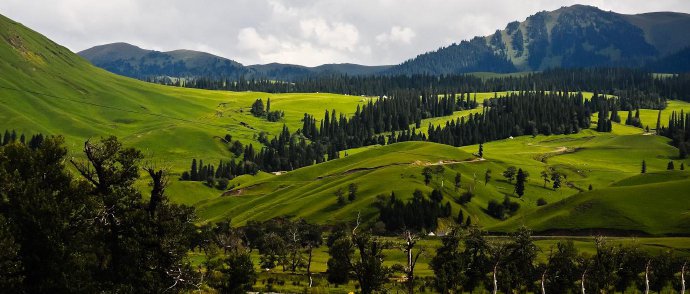 点击大图看下一张：新疆那拉提草原，有一种孤独的美