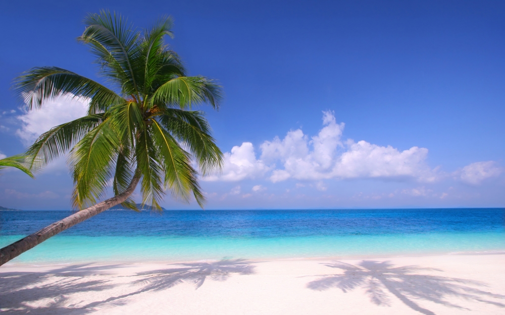 点击大图看下一张：静谧唯美的海滩风景图片桌面壁纸