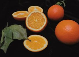 有一组味道鲜美的甜橙图片欣赏