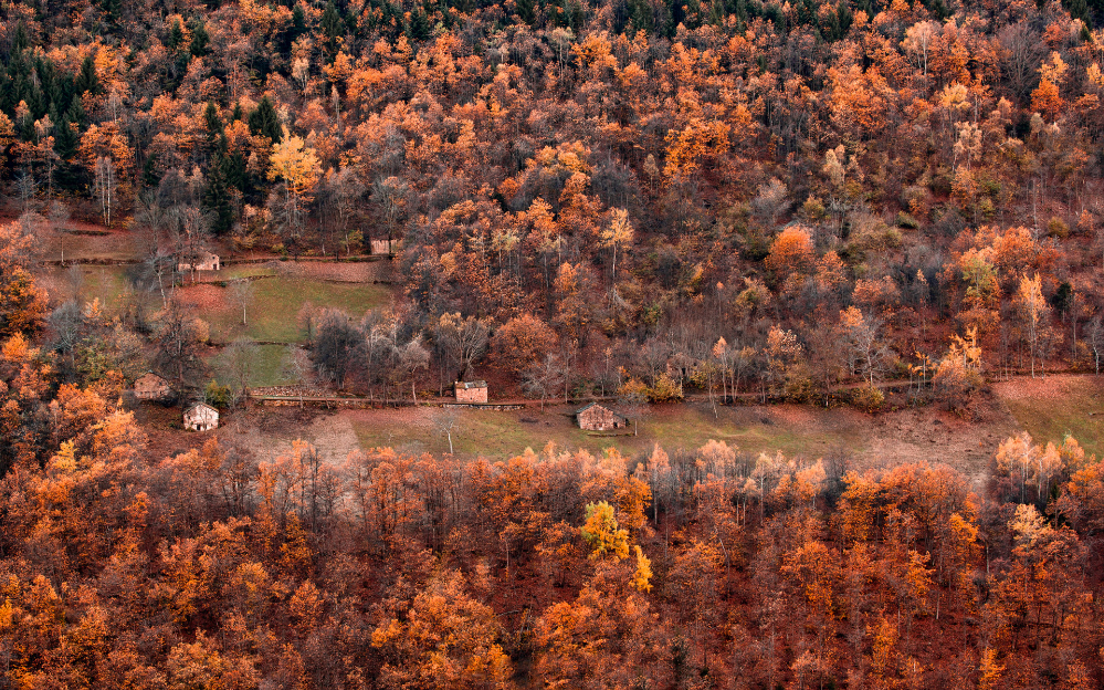 点击大图看下一张：秋意浓浓的深秋风景