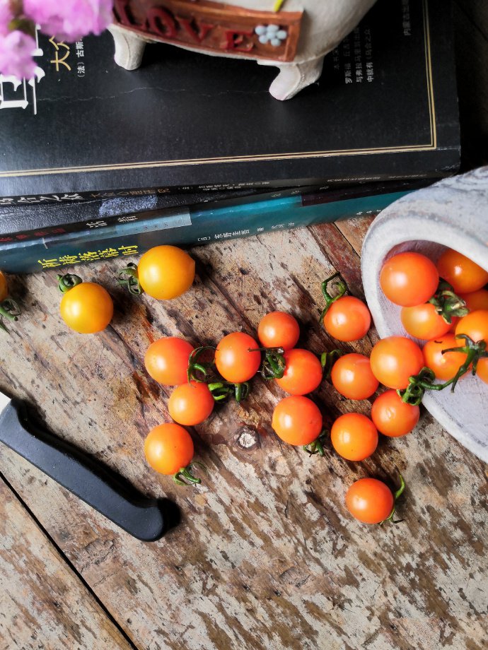点击大图看下一张：黄金小番茄营养健康又美味