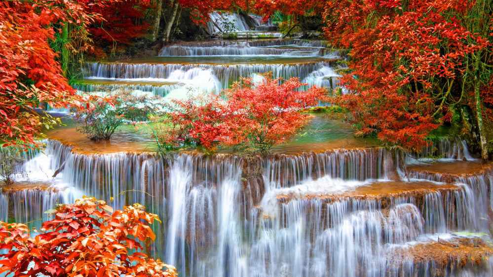 点击大图看下一张：一组秋天霜叶瀑布图片