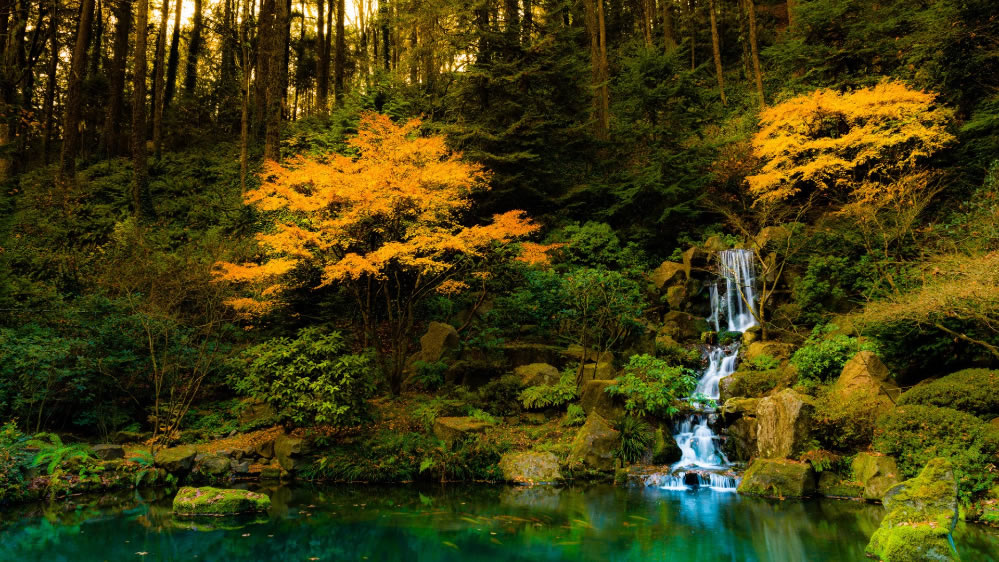 点击大图看下一张：一组秋天霜叶瀑布图片