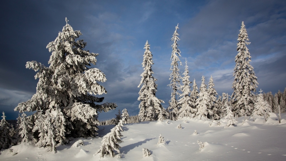 点击大图看下一张：冬季唯美雪景高清电脑壁纸