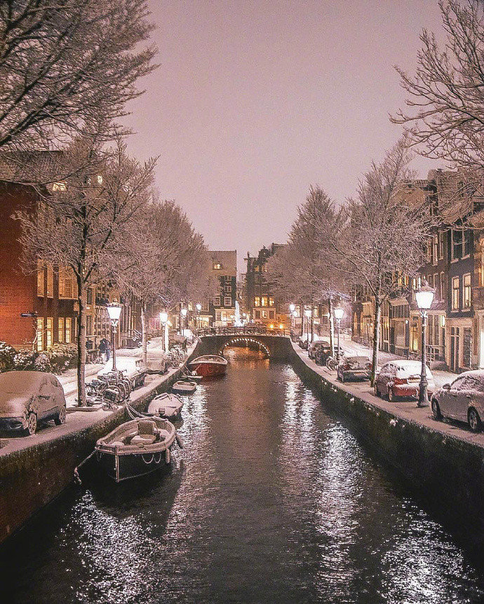 点击大图看下一张：阿姆斯特丹的雪中夜景