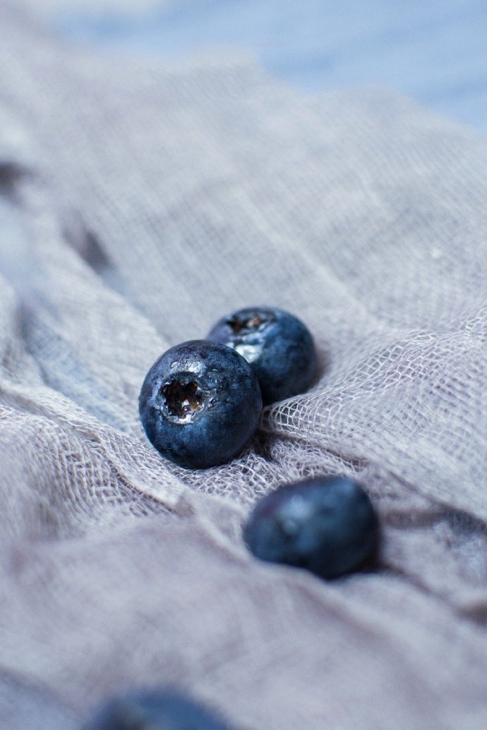 点击大图看下一张：一组治愈系的蓝莓图片欣赏