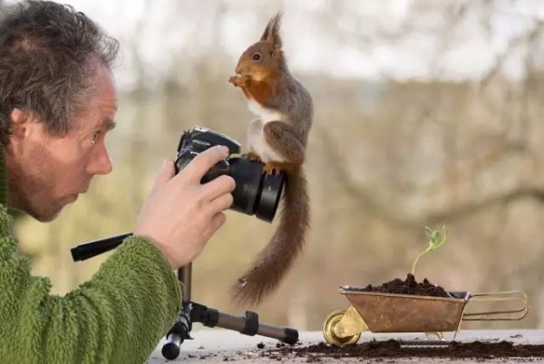 点击大图看下一张：玩摄像机的小松鼠图片